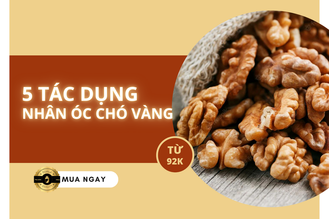 5 TÁC DỤNG THẦN KỲ CỦA NHÂN ÓC CHÓ VÀNG