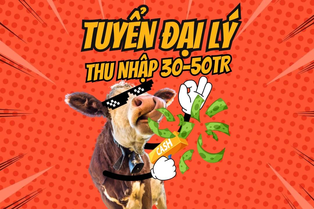 Tuyển đại lý sỉ thịt bò nhập khẩu dành cho CTV bán hàng Online