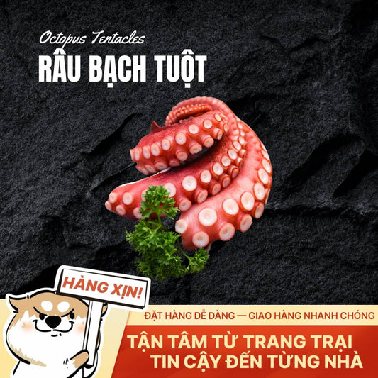 Râu Bạch Tuột Cao Cấp - Tươi Ngon - 500g