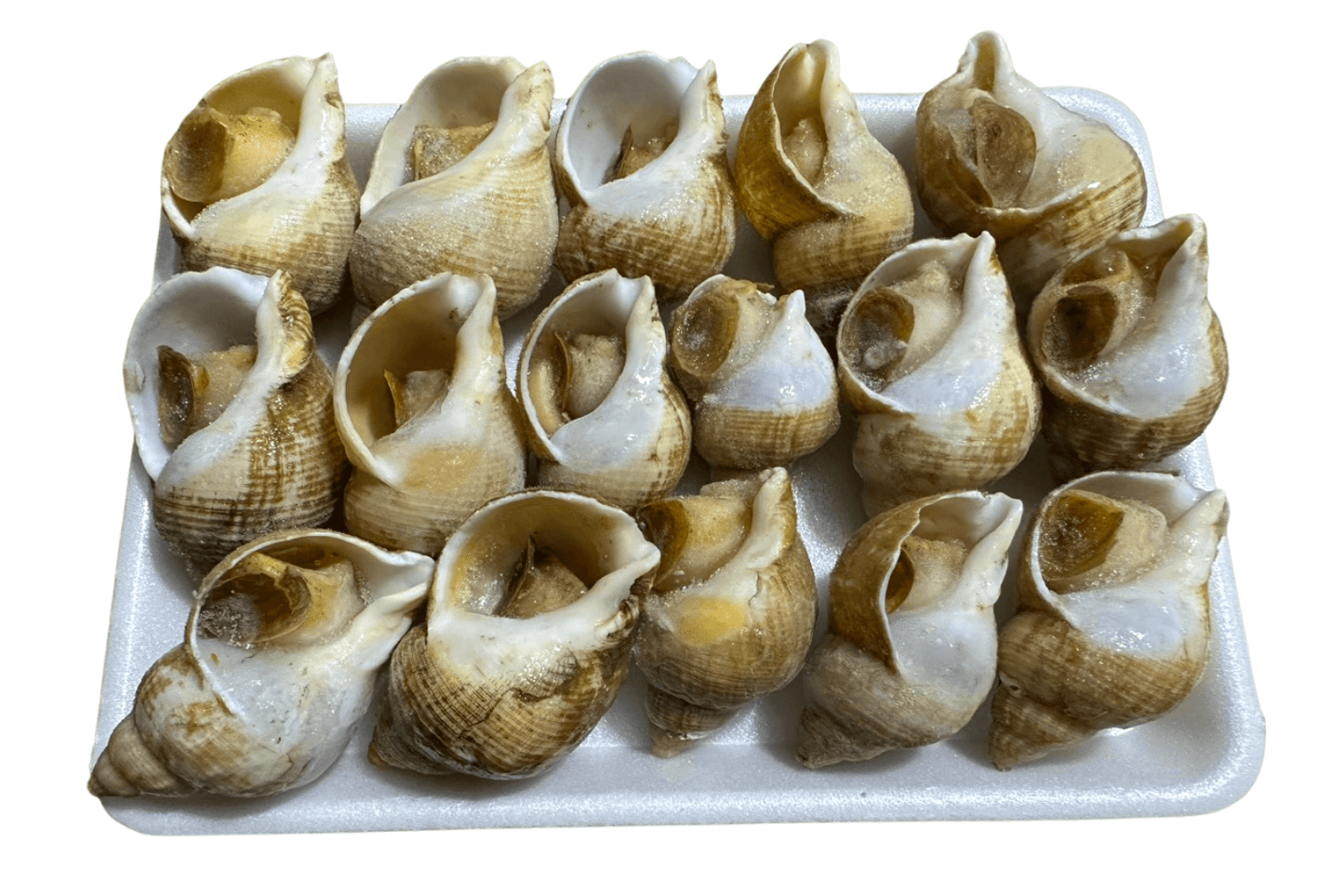 Ốc Bullot