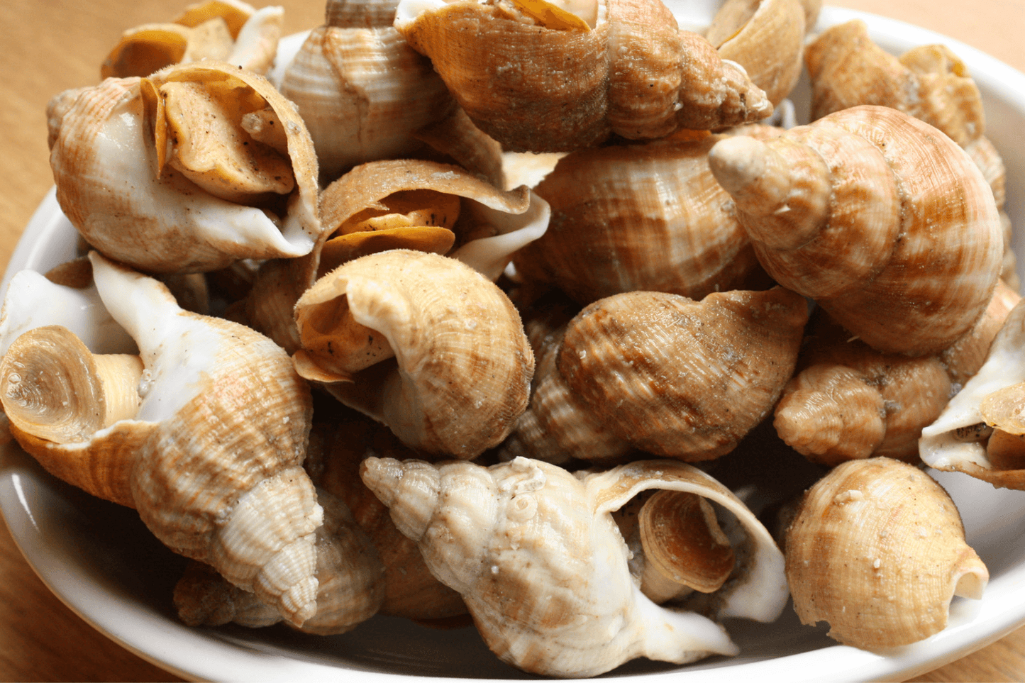 Ốc Bullot